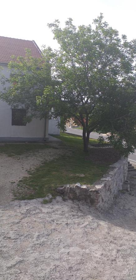 Kosmac Budva